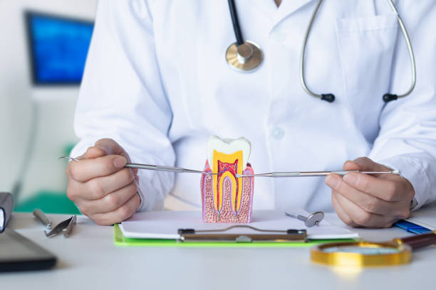 Best Dental Abscess Treatment in Elyria, OH
